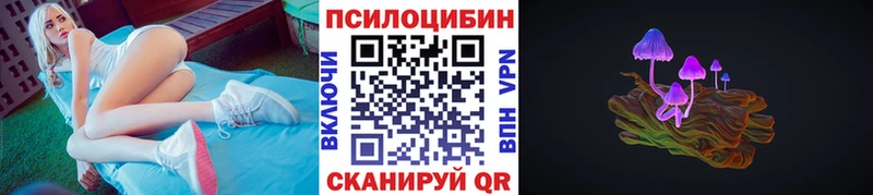 Псилоцибиновые грибы Psilocybine cubensis  Купить закладки  Рассказово 